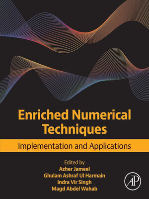 cover image of Enriched Numerical Techniques
